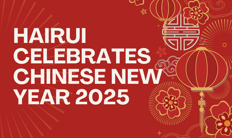 Hairui Celebrates Chinese New Year 2025